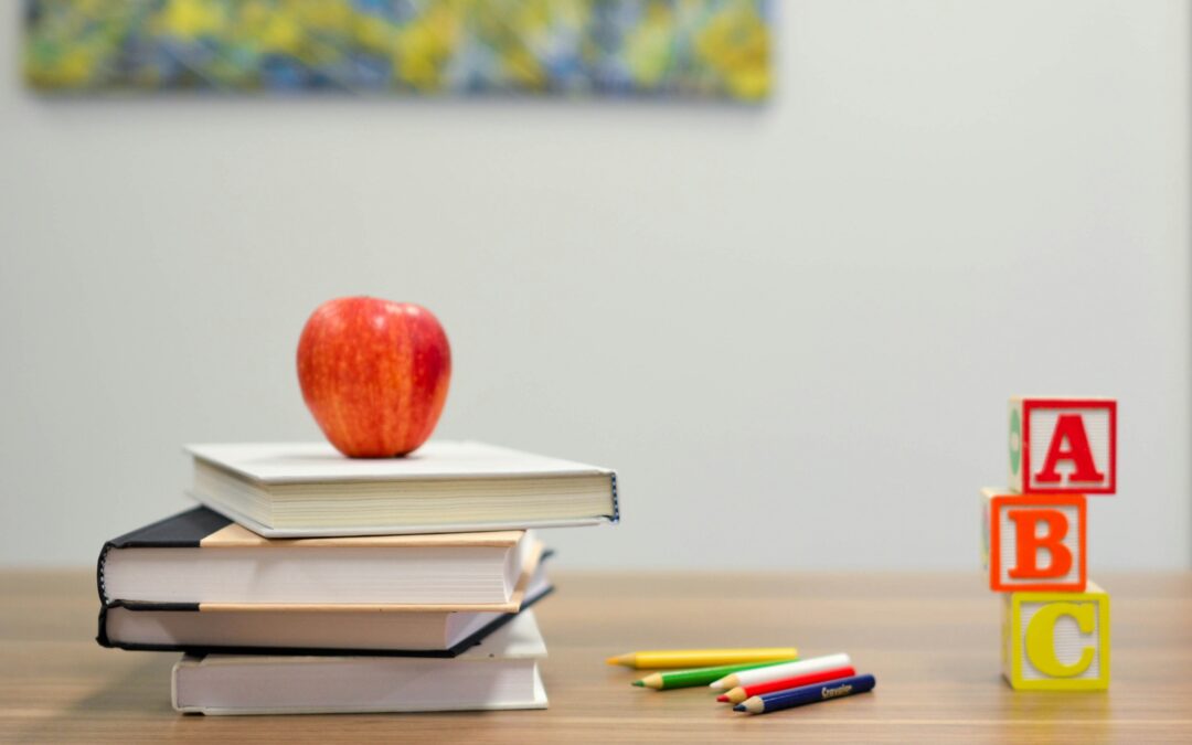 La importancia de la educación y la animación en conjunto