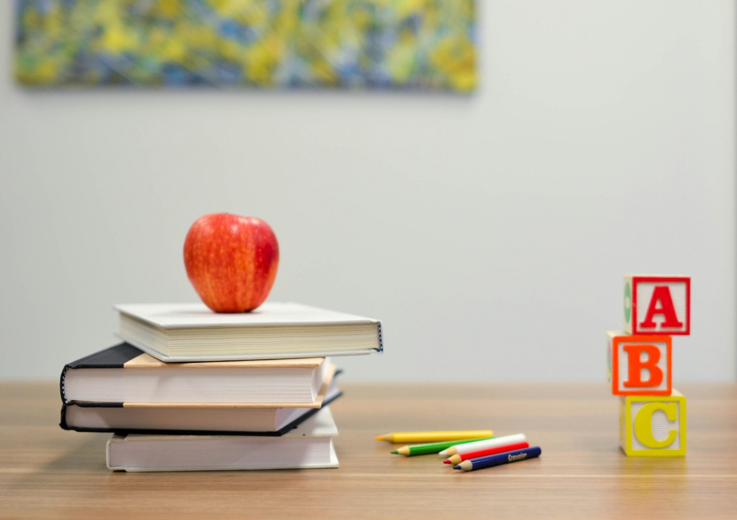La importancia de la educación y la animación en conjunto